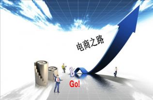 從運(yùn)營(yíng)專(zhuān)家到教育引路人 圖零科技白楊的網(wǎng)絡(luò)技術(shù)教育之路